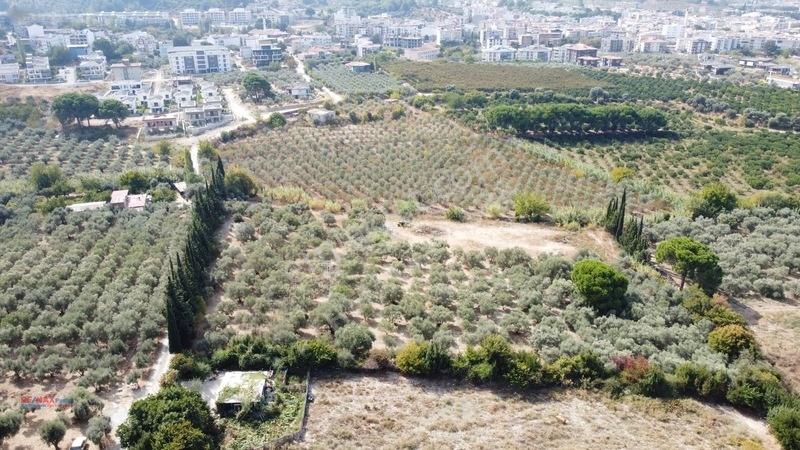 İzmir Gümüldürde Denize 50 Metre Termal Turizm İmarlı Arsa — fotoğraf 8