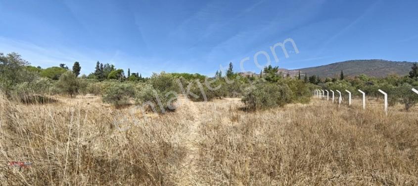 İzmir Gümüldürde Denize 50 Metre Termal Turizm İmarlı Arsa — fotoğraf 34