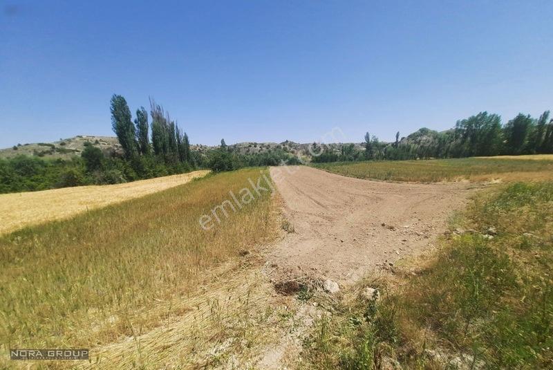 Noradan Çal Aşağıseyit Te Satılık Tarla — fotoğraf 2