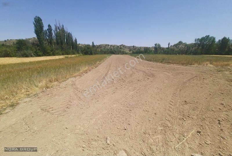 Noradan Çal Aşağıseyit Te Satılık Tarla — fotoğraf 3