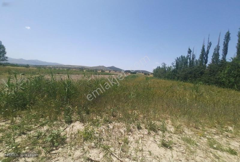 Noradan Çal Aşağıseyit Te Satılık Tarla — fotoğraf 5