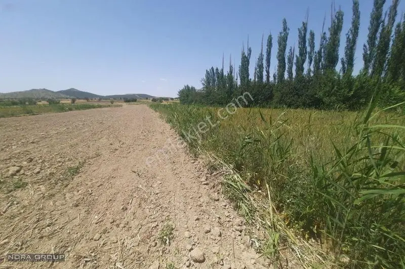 Noradan Çal Aşağıseyit Te Satılık Tarla — fotoğraf 7