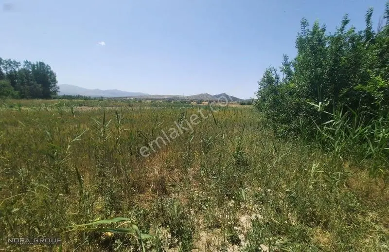 Noradan Çal Aşağıseyit Te Satılık Tarla — fotoğraf 8