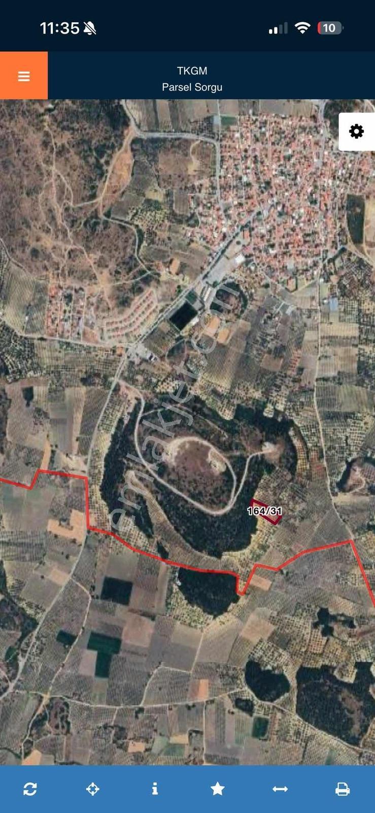 Dehir Emlaktan Aciilll Satılık Bakımlı Zeytinlik — fotoğraf 4