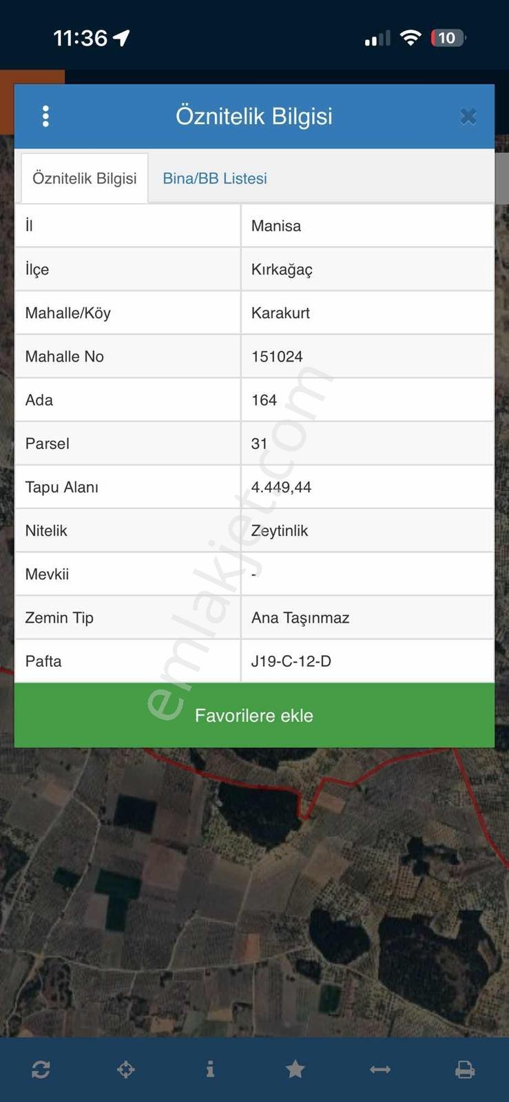Dehir Emlaktan Aciilll Satılık Bakımlı Zeytinlik — fotoğraf 5