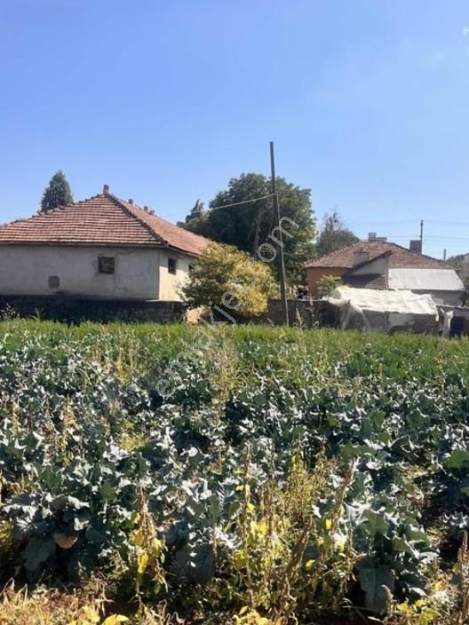 Banaz Hamambogazı Yolunda 9900 M2 Ev Ve Ahır
