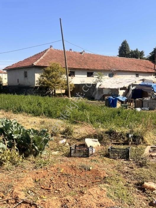 Banaz Hamambogazı Yolunda 9900 M2 Ev Ve Ahır — fotoğraf 2