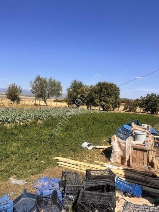 Banaz Hamambogazı Yolunda 9900 M2 Ev Ve Ahır — fotoğraf 4
