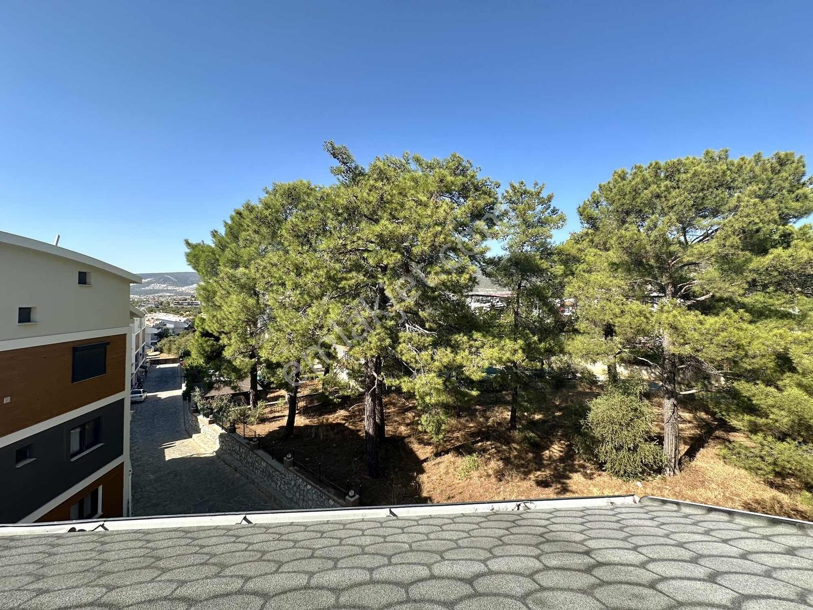 Akbükte Olimpik Havuzlu Sitede 3+1 Geniş Teraslı Daire — fotoğraf 5