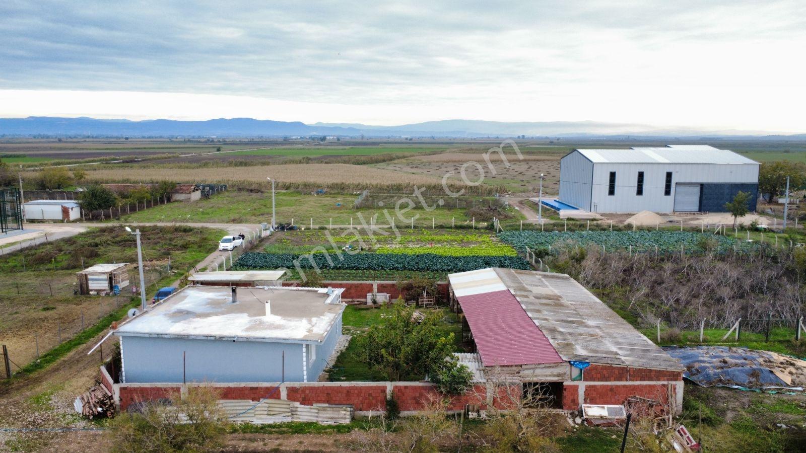 Karacabey Bakırköyde Satılık 674 M² Müstakil Evli Arazi — fotoğraf 14