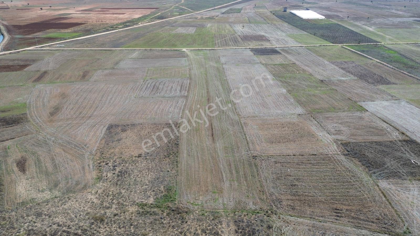 Vip Gayrimenkul'den Bozhüyük Mah. Yol Cepheli 9.643m² Tarla — fotoğraf 8