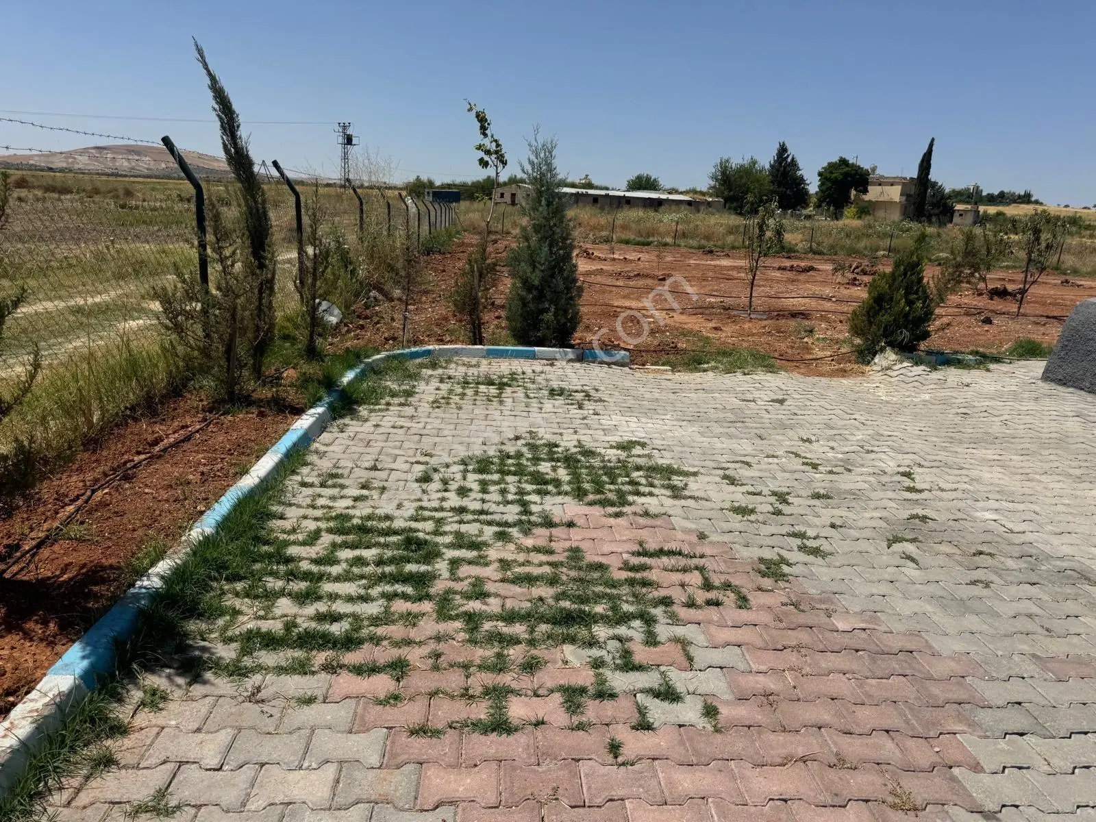 Cadde 17 Emlak`Tan Satılık Tek Tapu Meyve Bahçesi