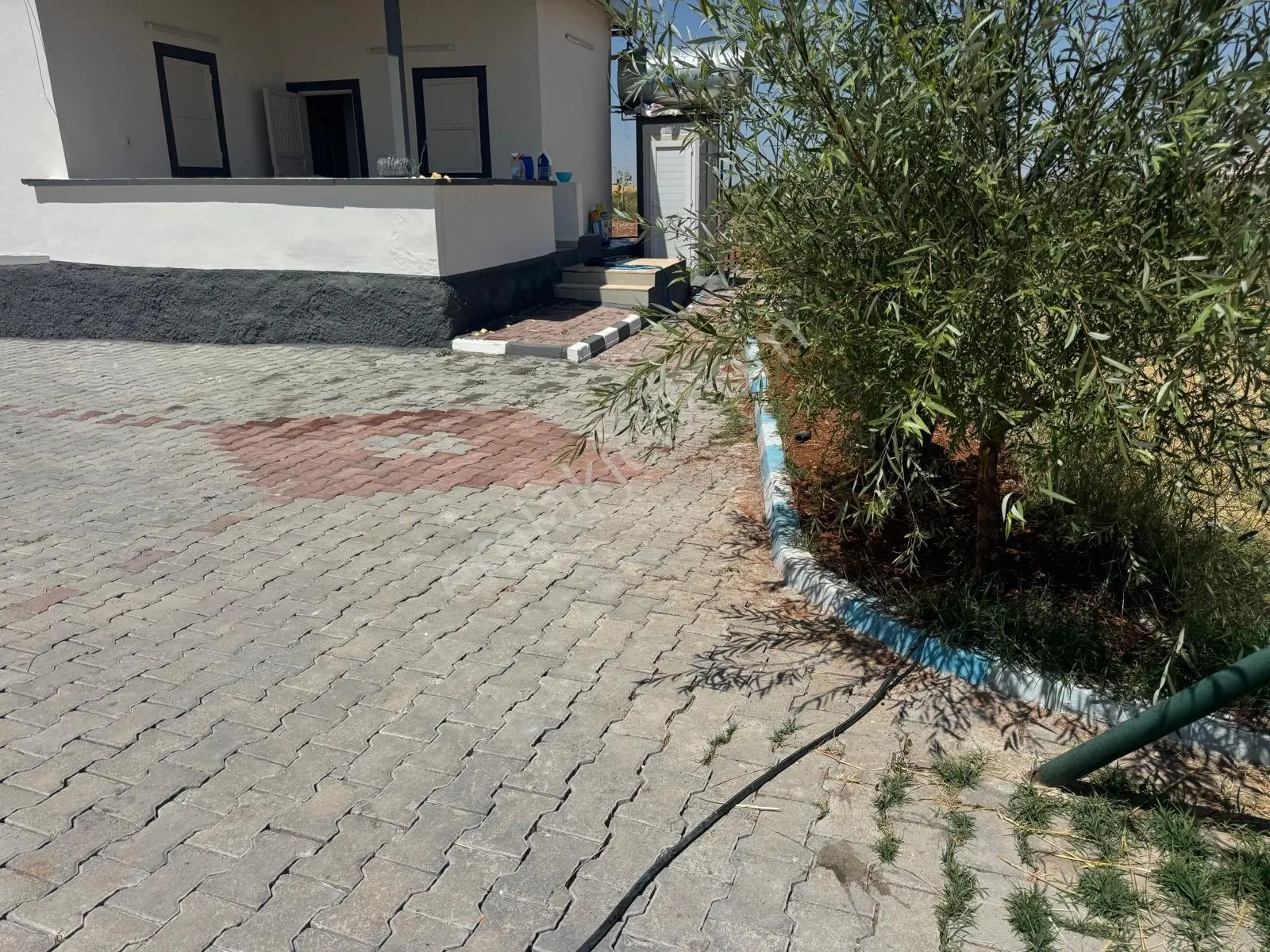 Cadde 17 Emlak`tan Satılık Tek Tapu Meyve Bahçesi — fotoğraf 2