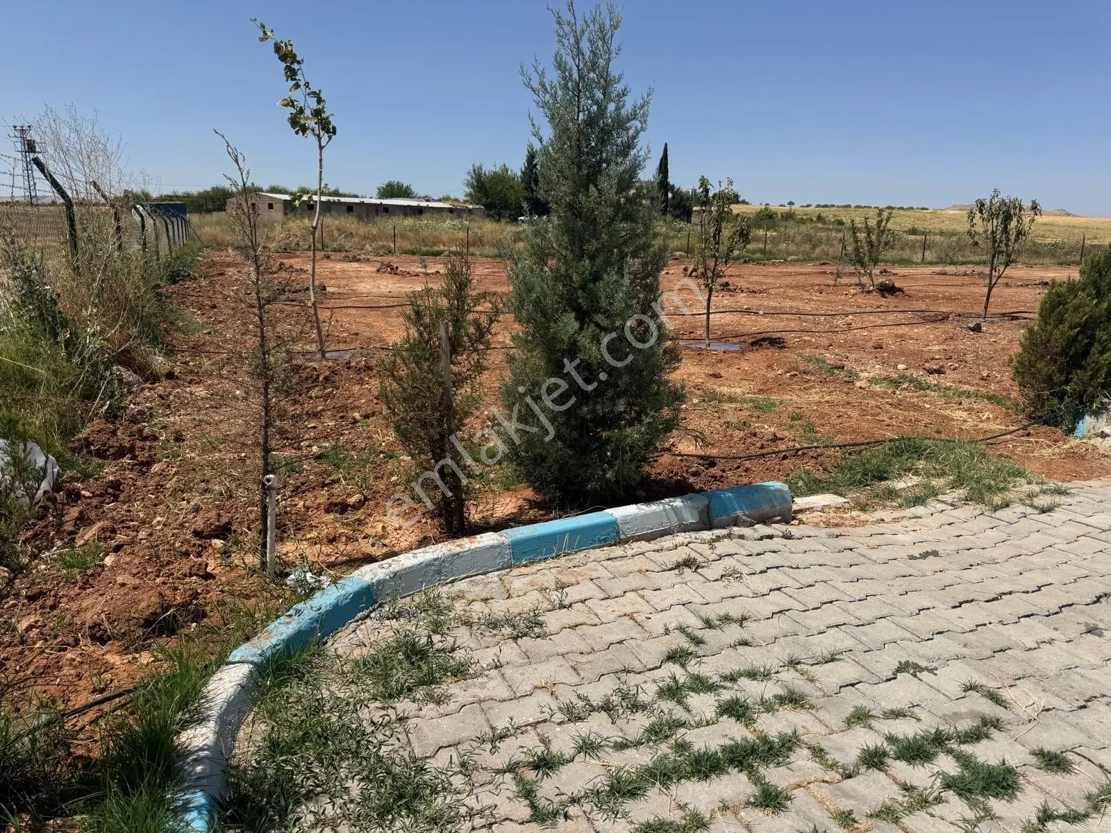 Cadde 17 Emlak`tan Satılık Tek Tapu Meyve Bahçesi — fotoğraf 4