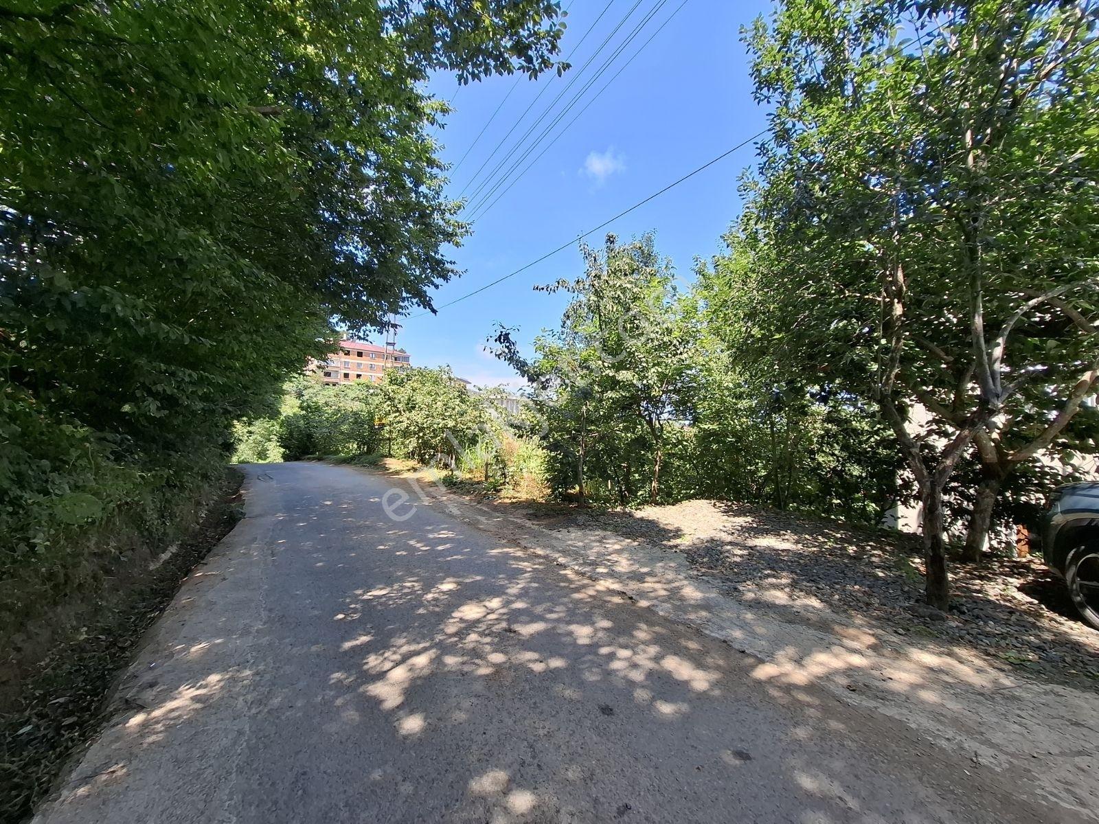 Çimenli Mah.satılık Arsa — fotoğraf 2