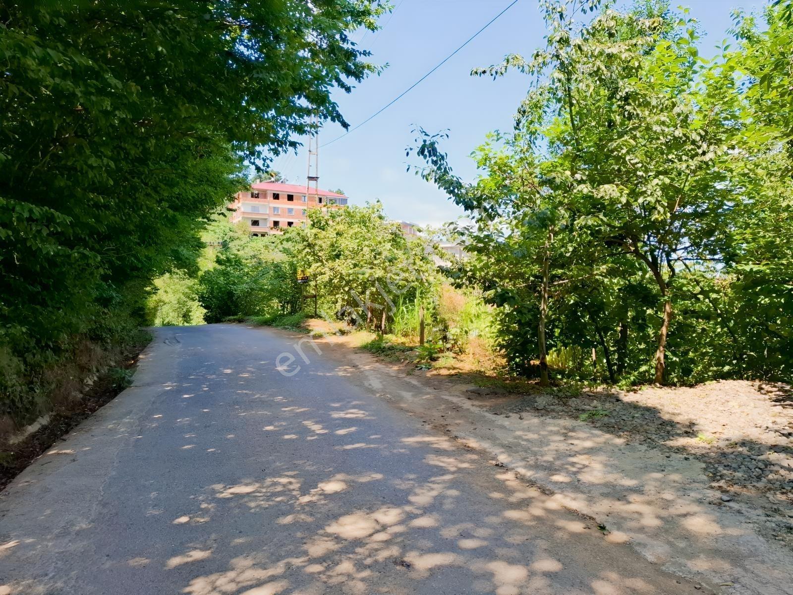 Çimenli Mah.satılık Arsa — fotoğraf 3