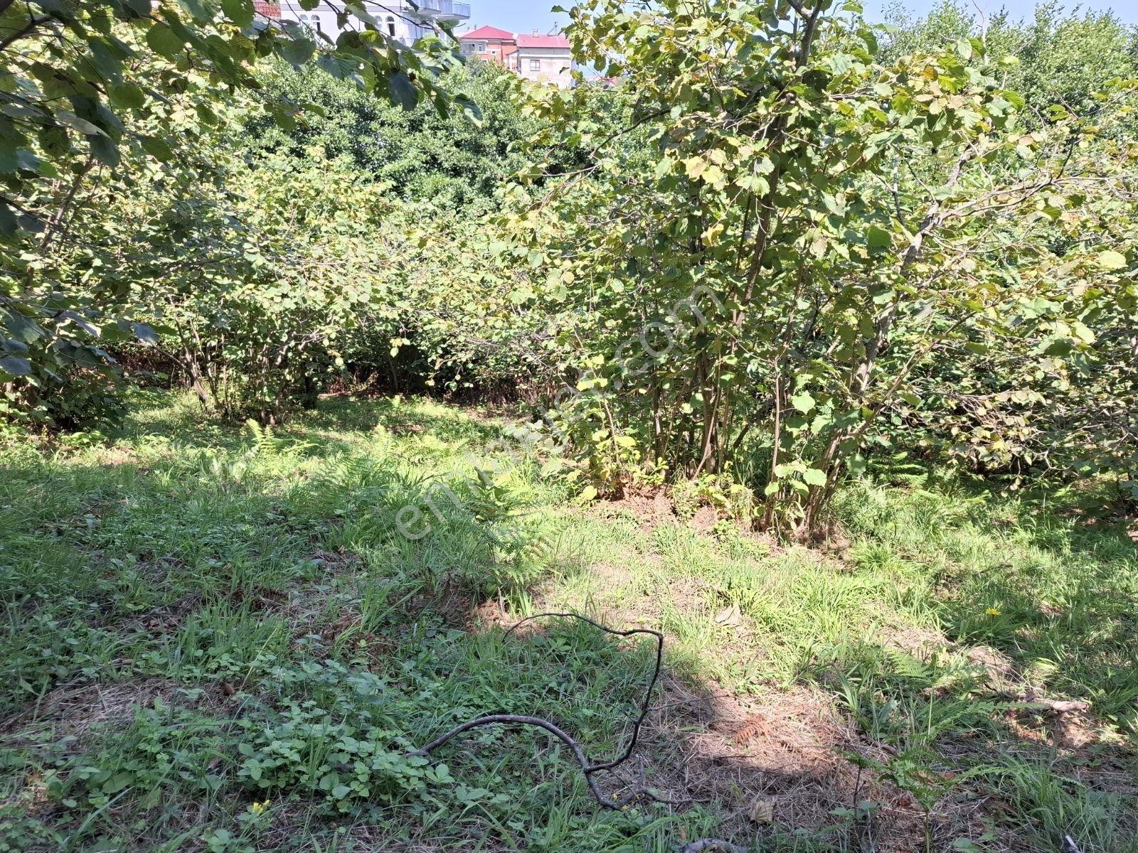 Çimenli Mah.satılık Arsa — fotoğraf 4