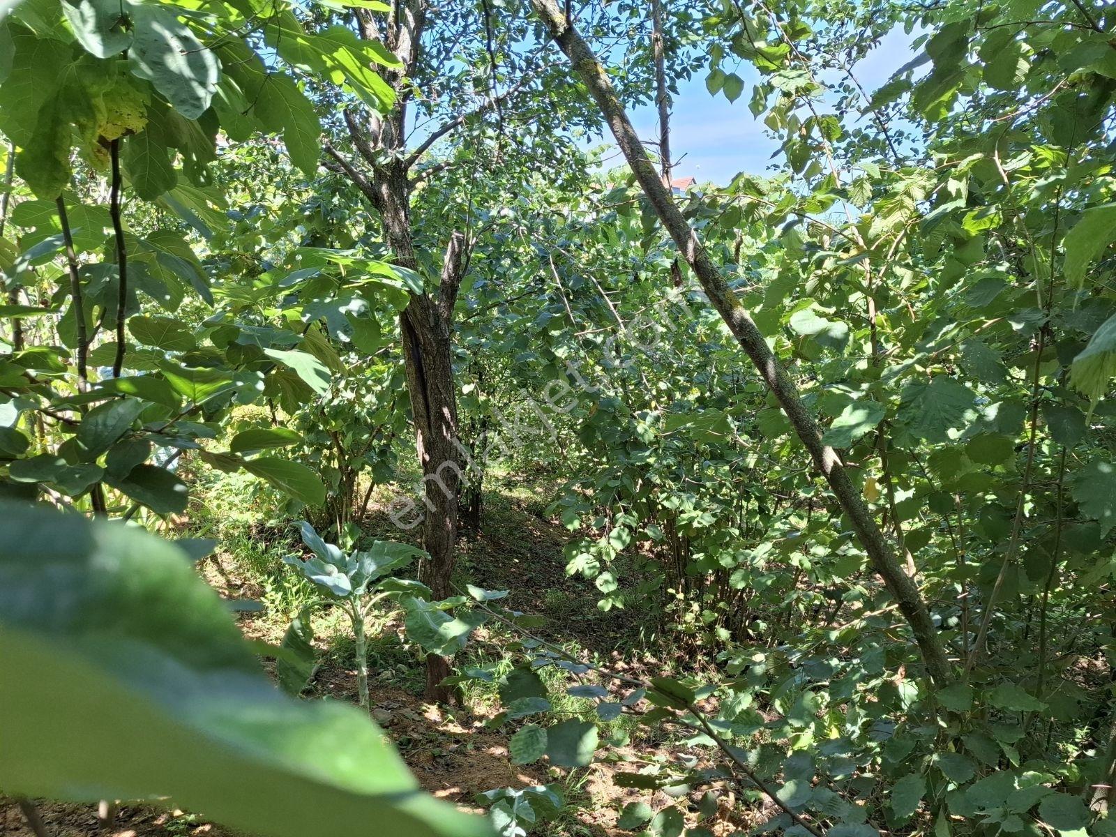Çimenli Mah.satılık Arsa — fotoğraf 6