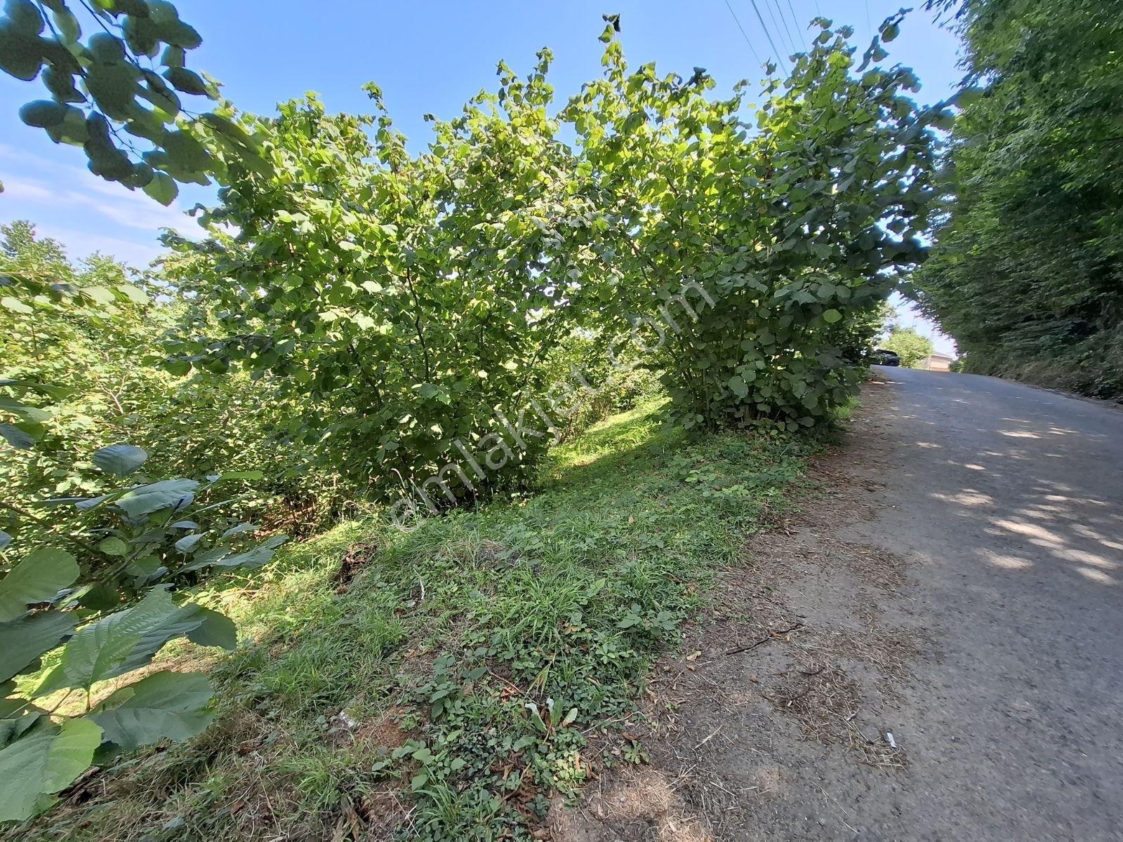Çimenli Mah.satılık Arsa — fotoğraf 7