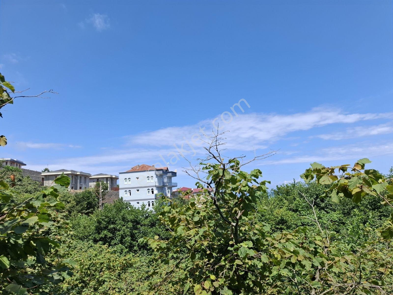 Çimenli Mah.satılık Arsa — fotoğraf 8