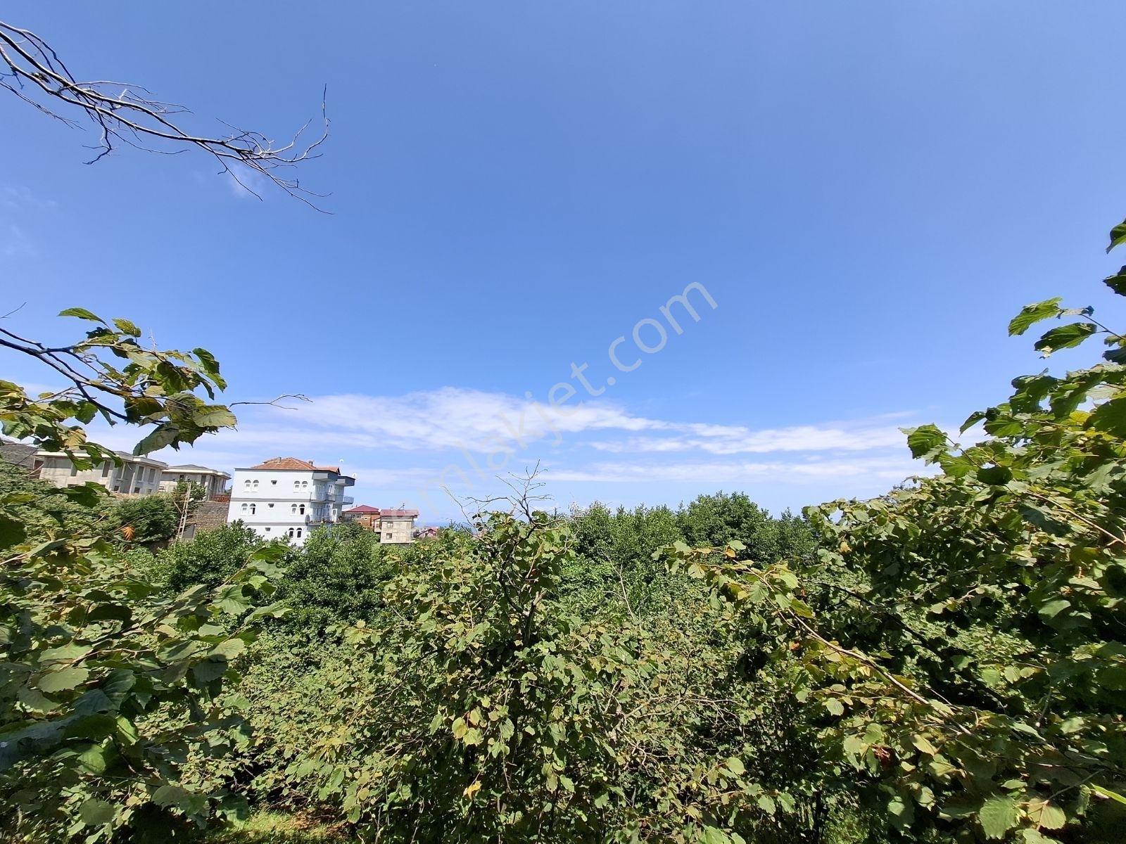 Çimenli Mah.satılık Arsa — fotoğraf 9