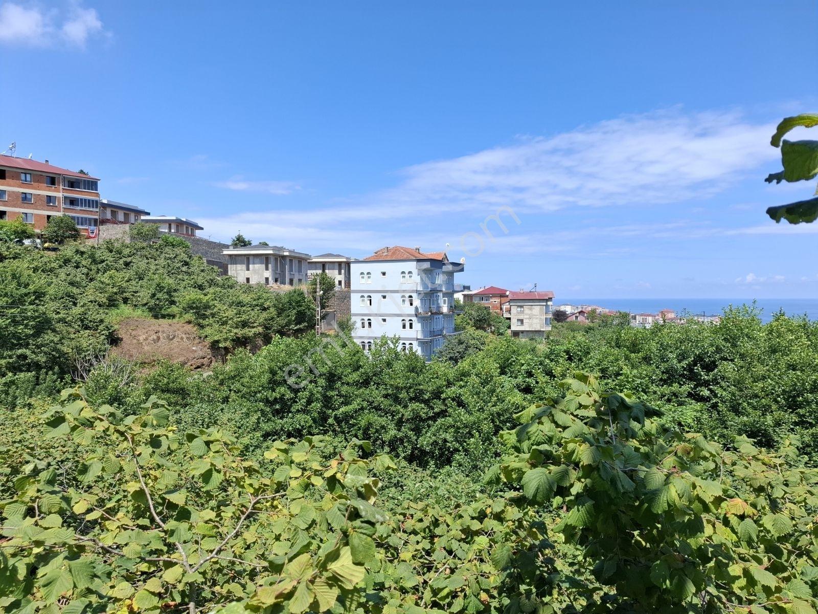 Çimenli Mah.satılık Arsa — fotoğraf 13
