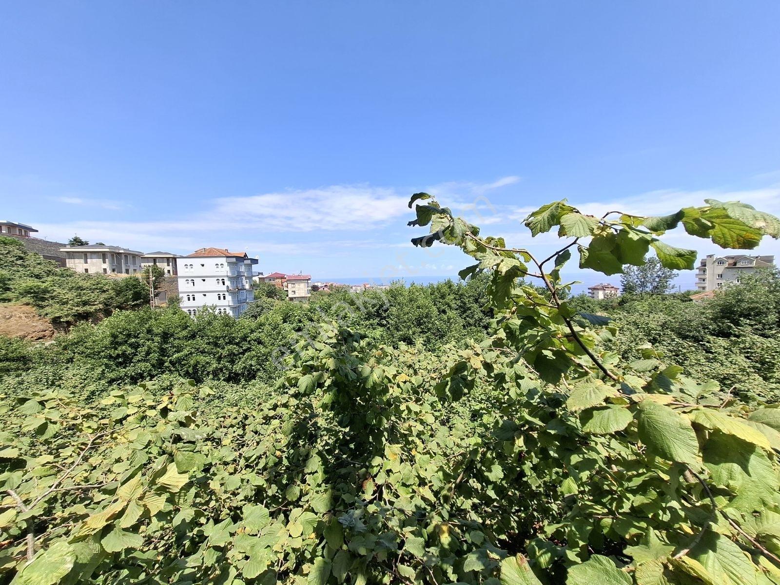 Çimenli Mah.satılık Arsa — fotoğraf 14