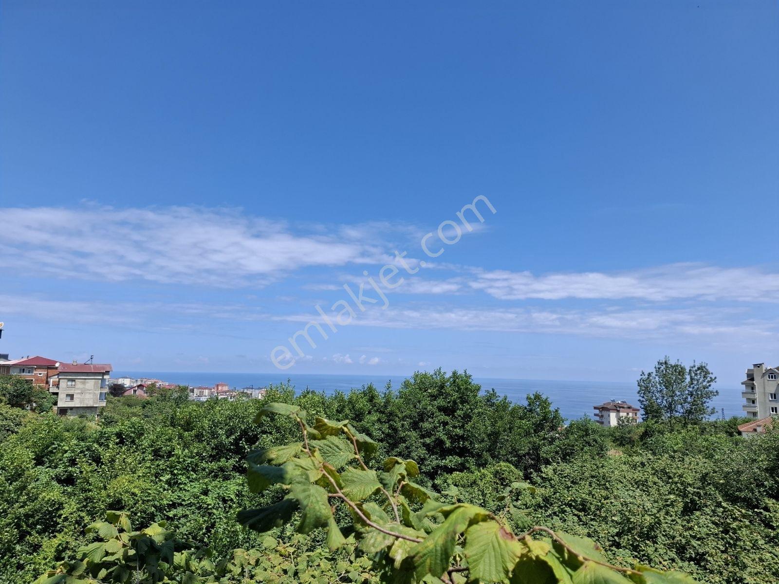 Çimenli Mah.satılık Arsa — fotoğraf 16