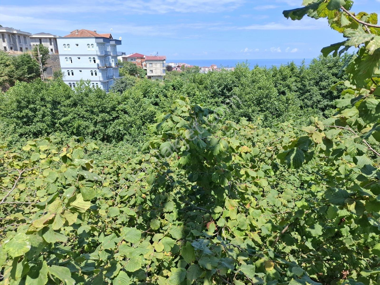 Çimenli Mah.satılık Arsa — fotoğraf 17