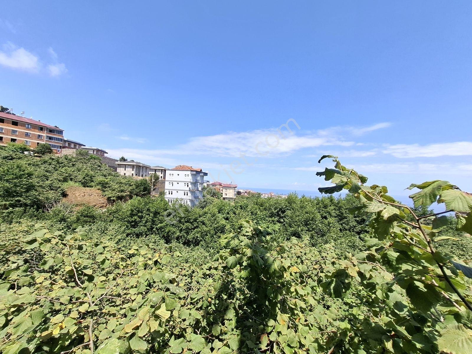 Çimenli Mah.satılık Arsa — fotoğraf 25