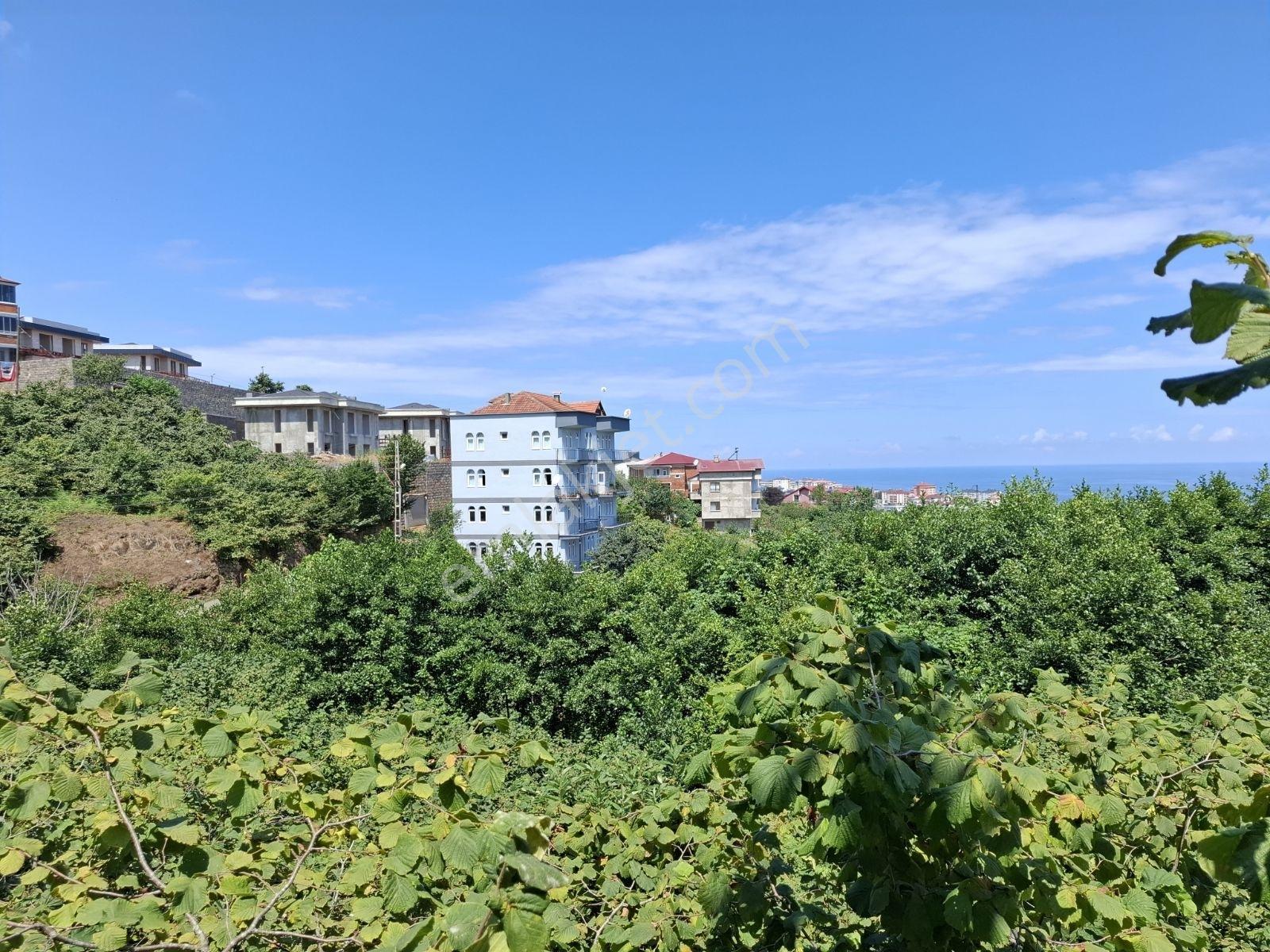 Çimenli Mah.satılık Arsa — fotoğraf 26