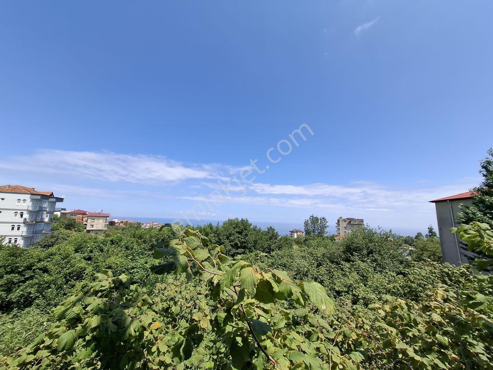 Çimenli Mah.satılık Arsa — fotoğraf 27