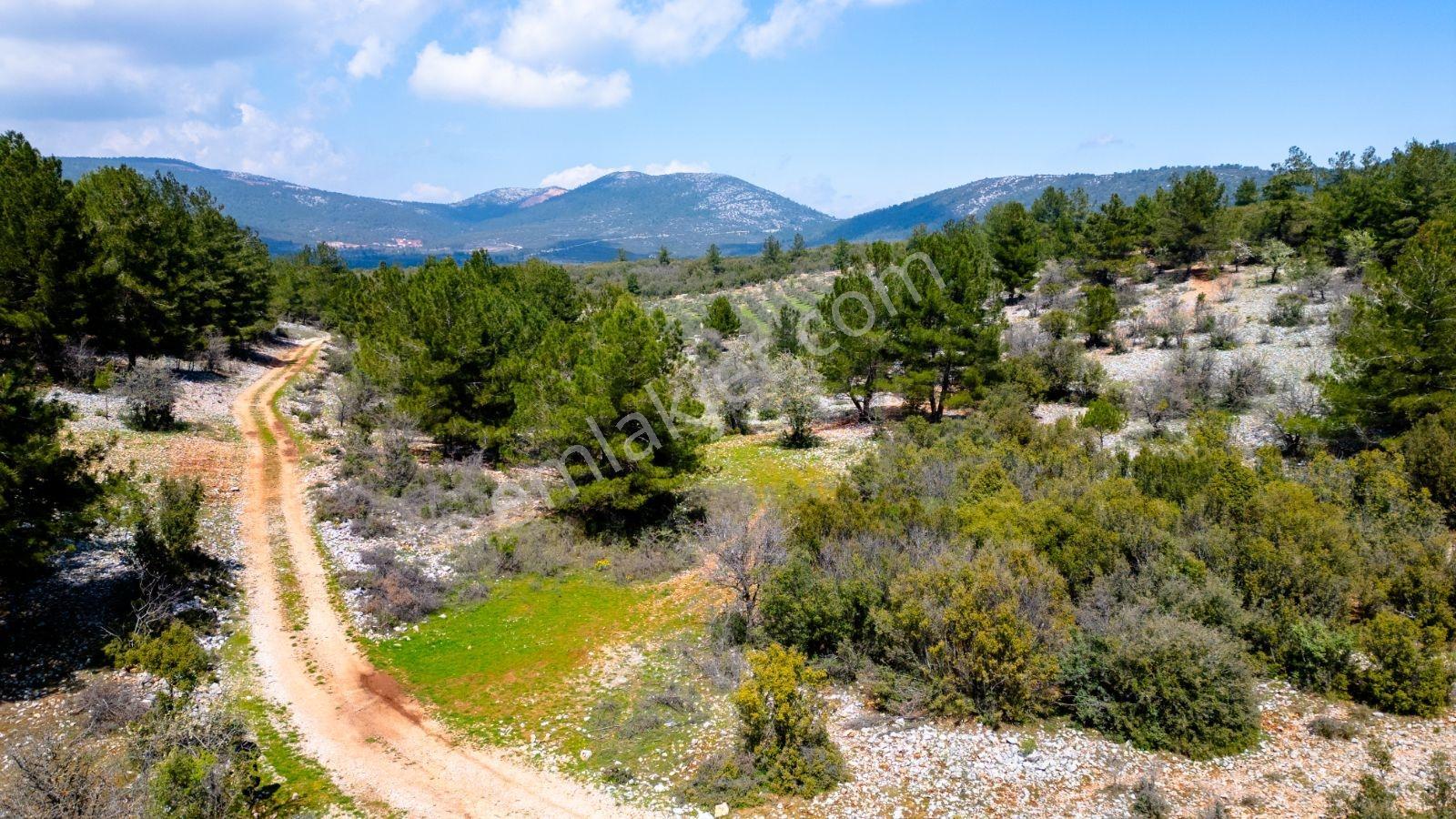 Muğla Menteşe Çiftlik Mahallesi'nde 18400 M2 Satılık Arazi — fotoğraf 2