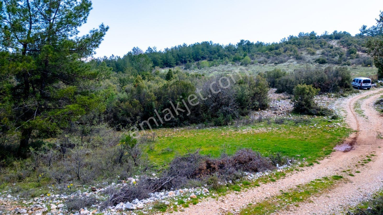 Muğla Menteşe Çiftlik Mahallesi'nde 18400 M2 Satılık Arazi — fotoğraf 4