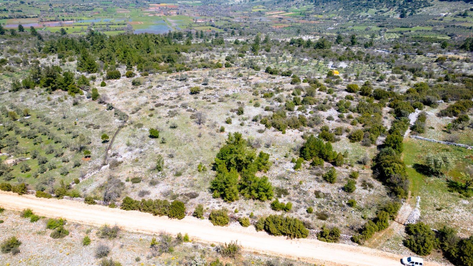 Muğla Menteşe Çiftlik Mahallesi'nde 18400 M2 Satılık Arazi — fotoğraf 5