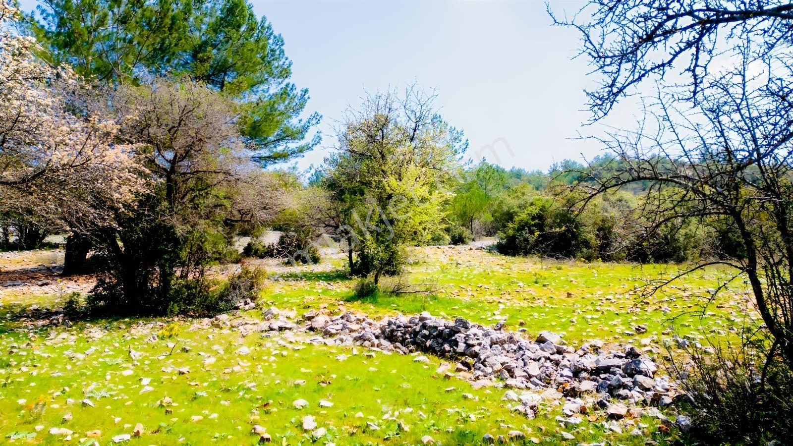Muğla Menteşe Çiftlik Mahallesi'nde 18400 M2 Satılık Arazi — fotoğraf 6