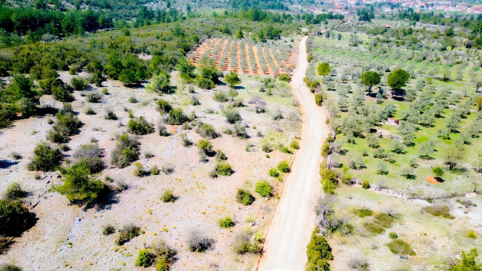 Muğla Menteşe Çiftlik Mahallesi'nde 18400 M2 Satılık Arazi — fotoğraf 7