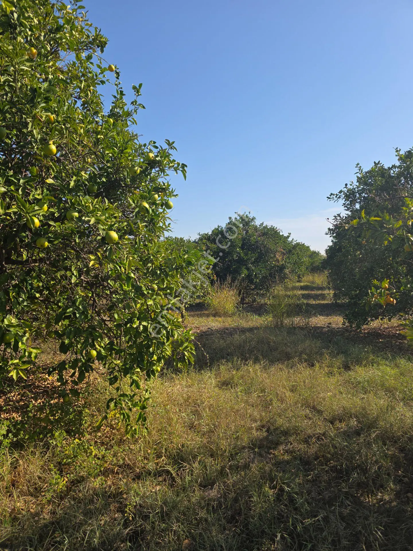 Yolcu Gayrimenkul'dan Satılık 6329 M2 Tarla — fotoğraf 23