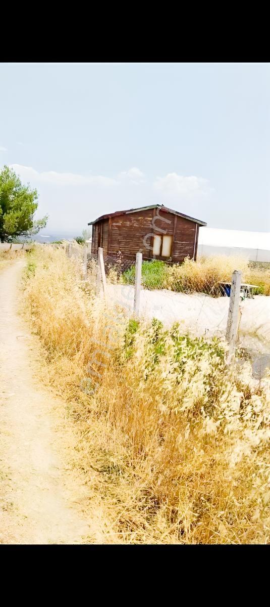 Antalya Aksu Karaözde Satılık Fırsat Tarla — fotoğraf 2