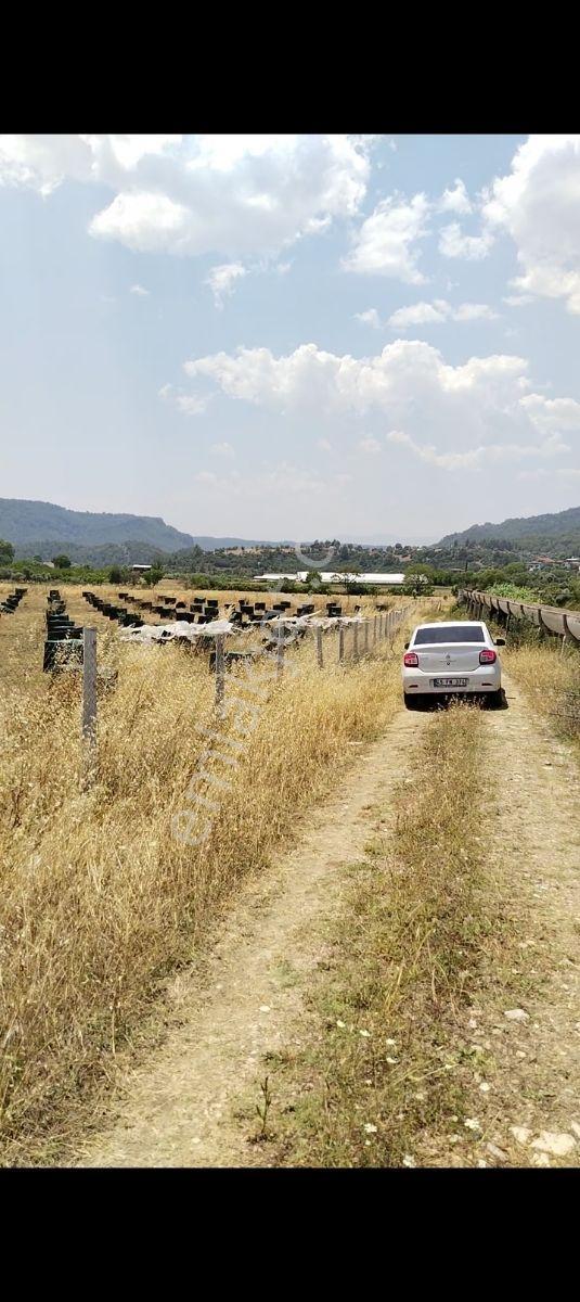 Antalya Aksu Karaözde Satılık Fırsat Tarla — fotoğraf 4