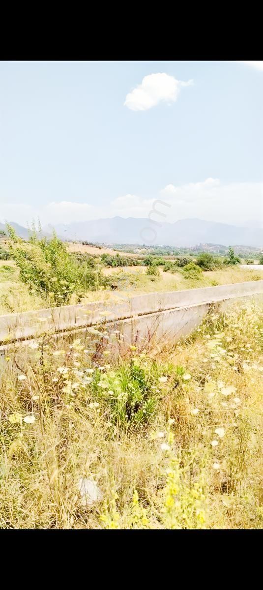 Antalya Aksu Karaözde Satılık Fırsat Tarla — fotoğraf 5