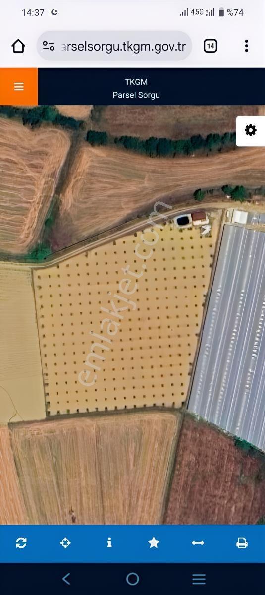 Antalya Aksu Karaözde Satılık Fırsat Tarla — fotoğraf 7