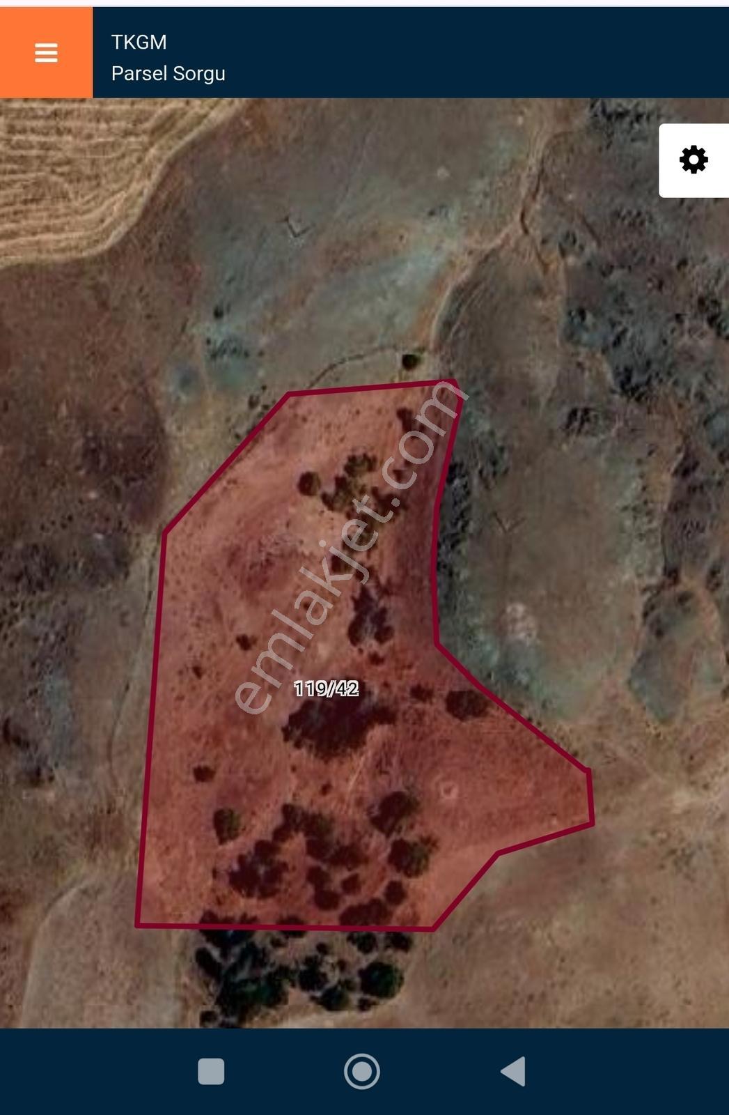10412 Mt Tarla .Tek Tapu.Fırsat Arazi.Fiyat Çok İyi..