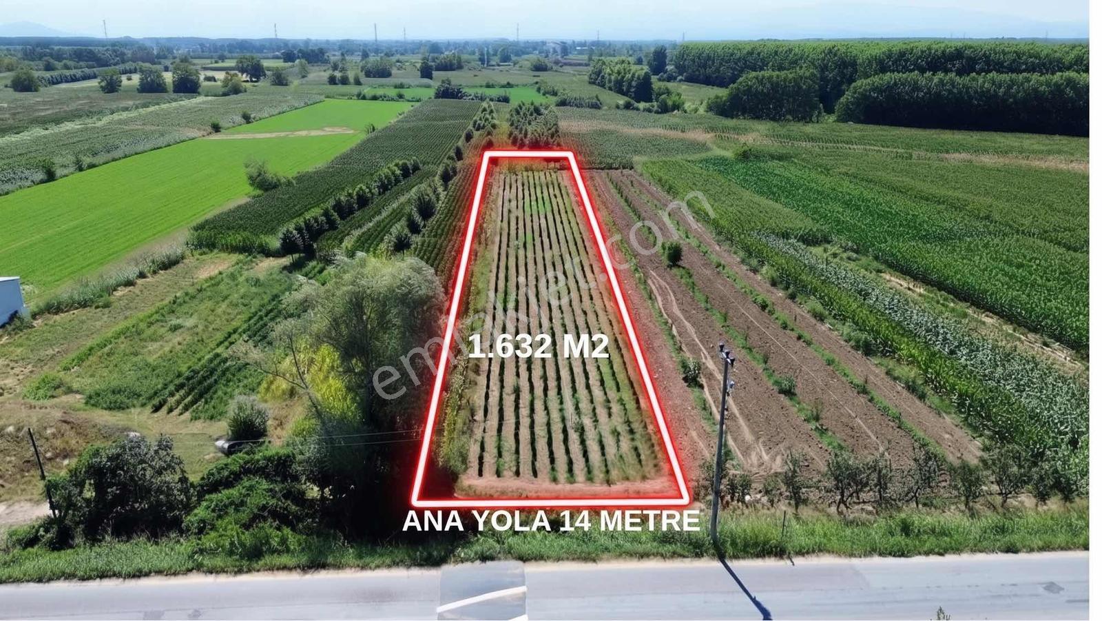 Akyazı Yeniorman Mahallesinde Satılık 1.632 M² Yatırımlık Arazi