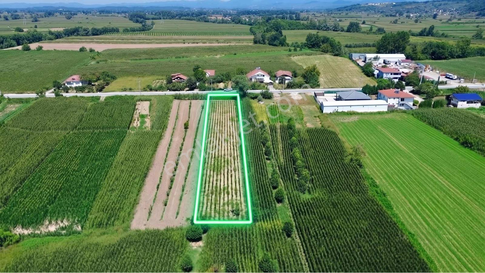 Akyazı Yeniorman Mahallesinde Satılık 1.632 M² Yatırımlık Arazi — fotoğraf 2