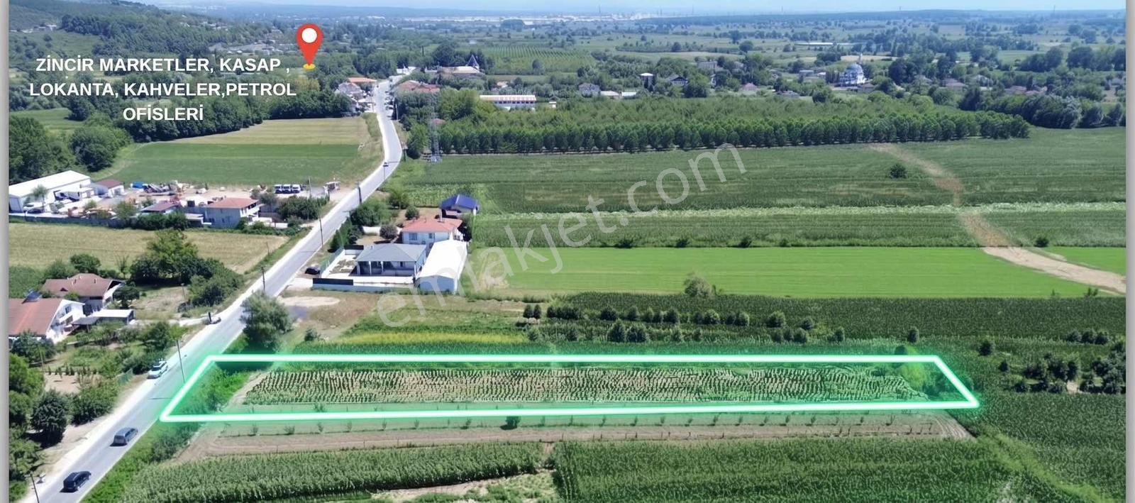 Akyazı Yeniorman Mahallesinde Satılık 1.632 M² Yatırımlık Arazi — fotoğraf 3