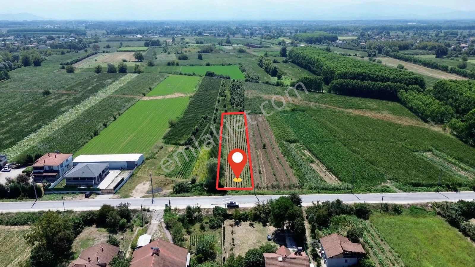 Akyazı Yeniorman Mahallesinde Satılık 1.632 M² Yatırımlık Arazi — fotoğraf 5