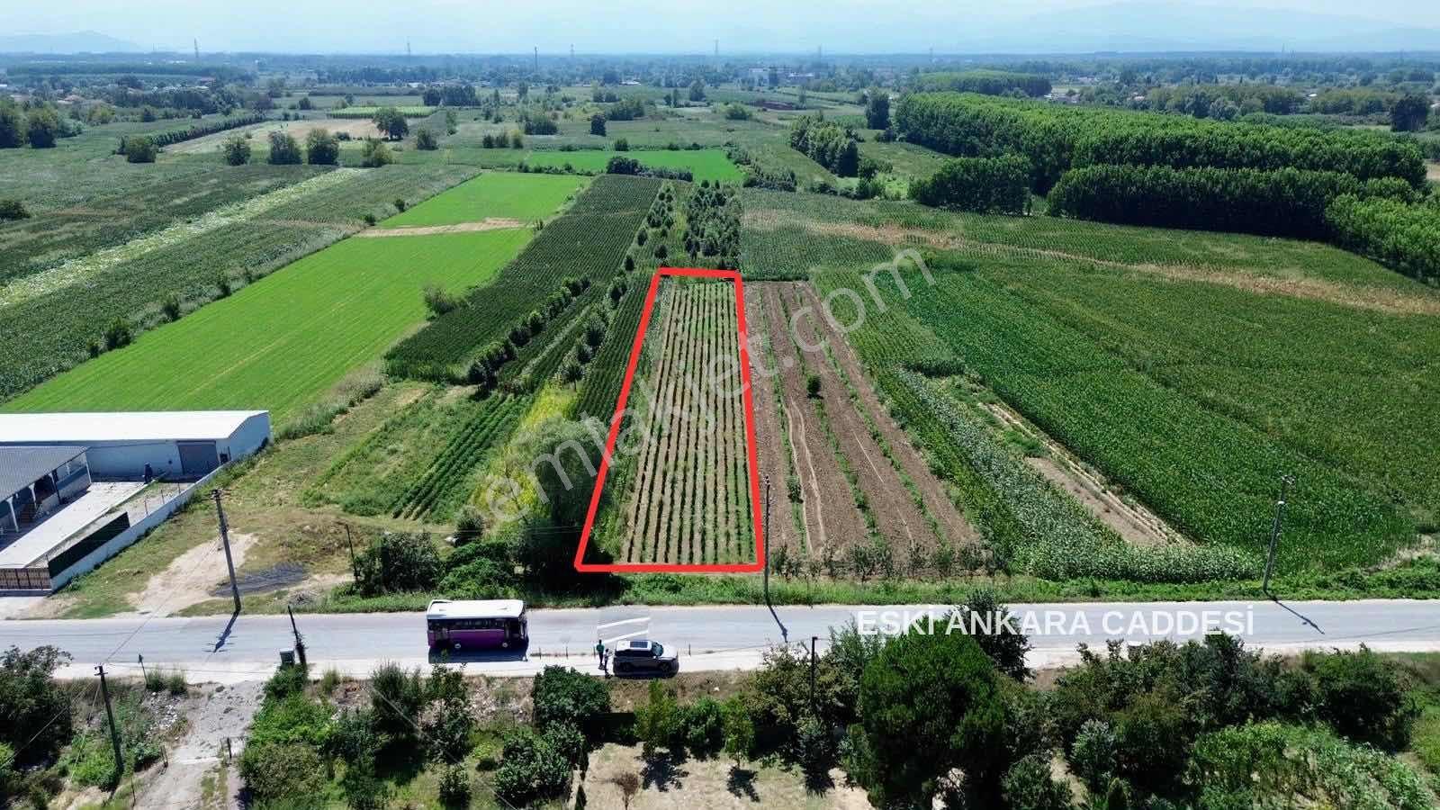 Akyazı Yeniorman Mahallesinde Satılık 1.632 M² Yatırımlık Arazi — fotoğraf 6