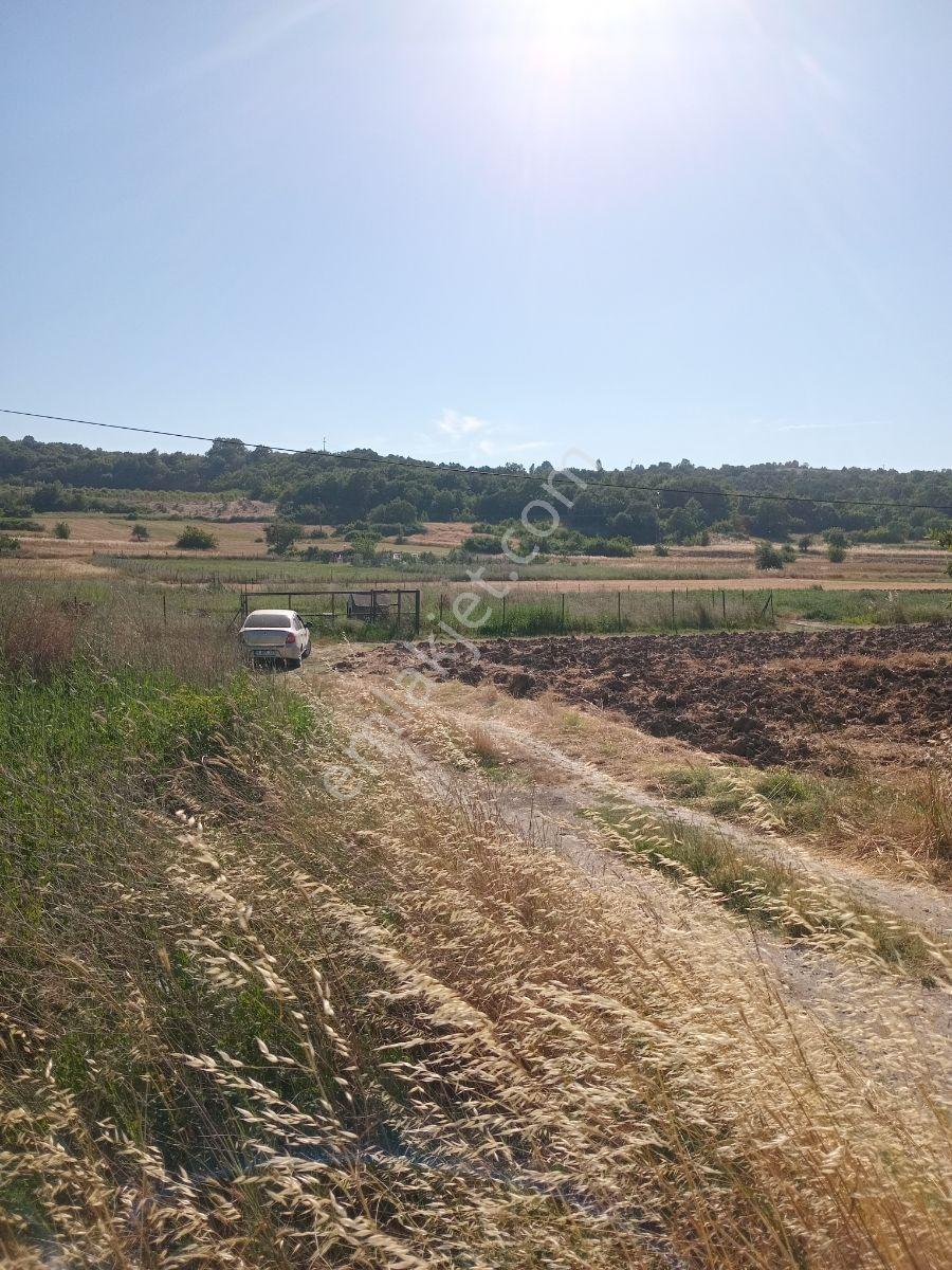 Orhaniyede Anayola Çok Yakın İmar Beklenen Noktada Hobi Bahçelik — fotoğraf 2