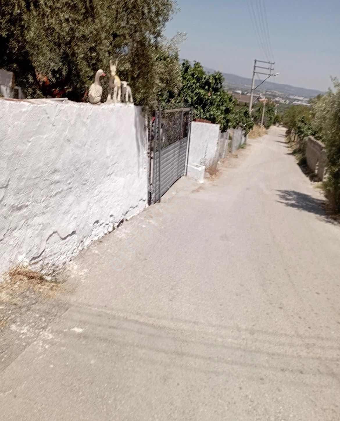 Torbalı Çapakda 1134 M2 Satılık Bahçe — fotoğraf 4